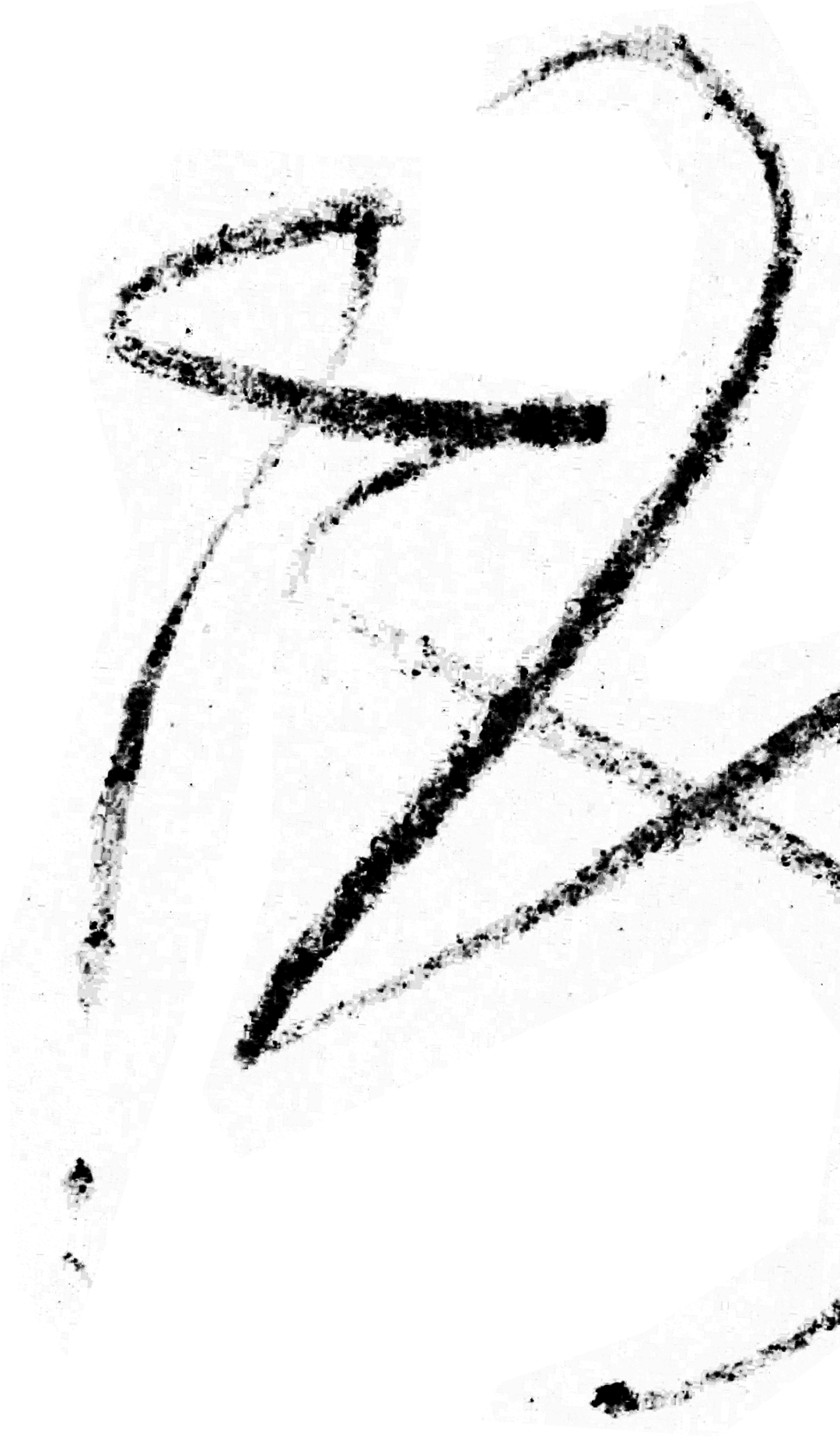 scribble